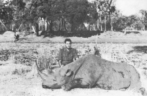 Rinoceronte negro en una auténtica fotografía con historia...