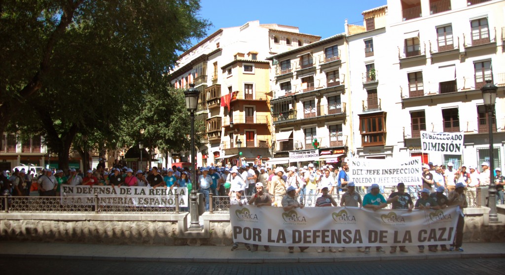 Manifestación de Toledo