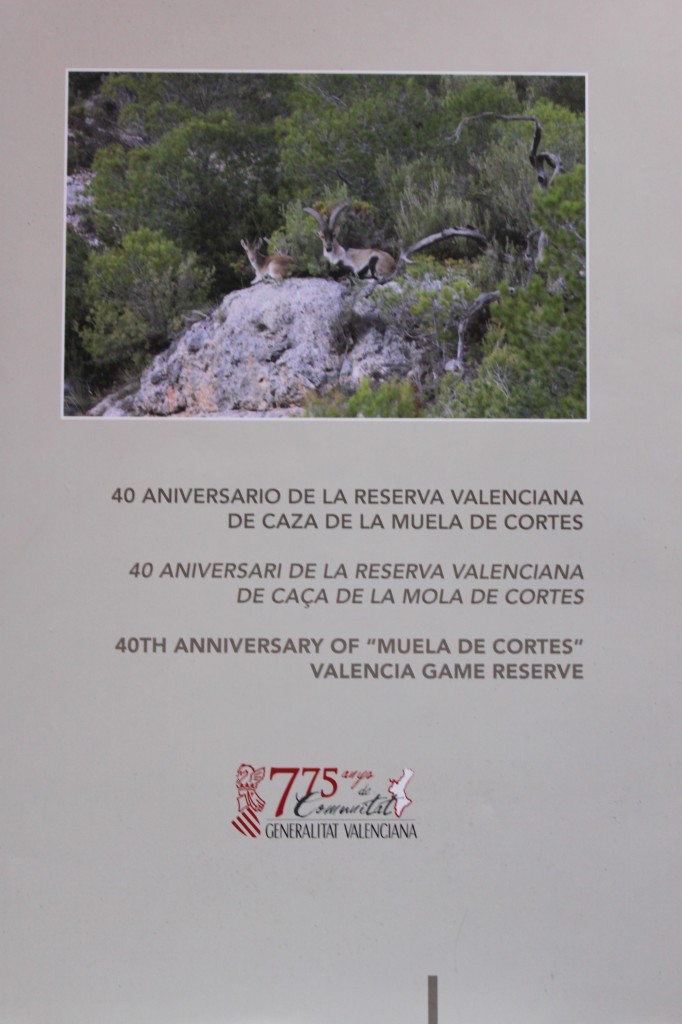 Libro Reserva Valenciana Muela de Cortes
