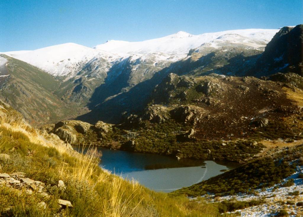 360 - Cabra montes en Galicia