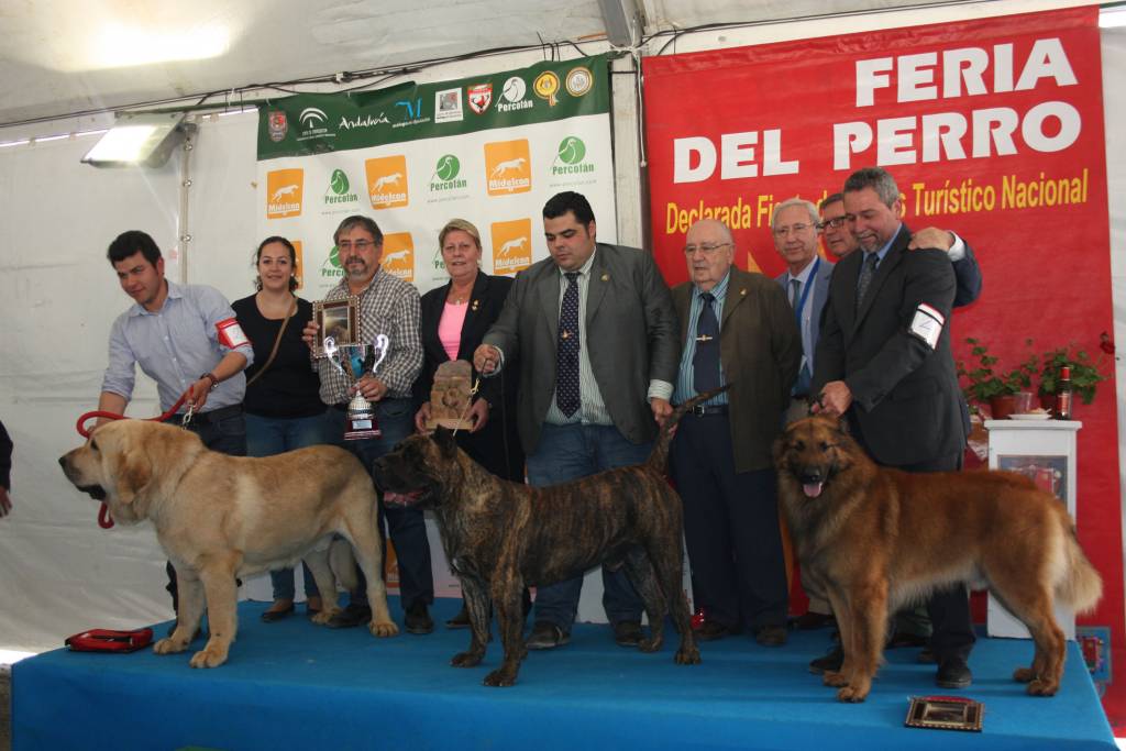 Ganadores del Concurso Razas Españolas.