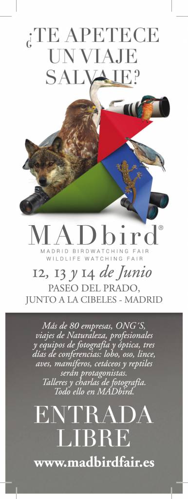 MADbird cartel 2015