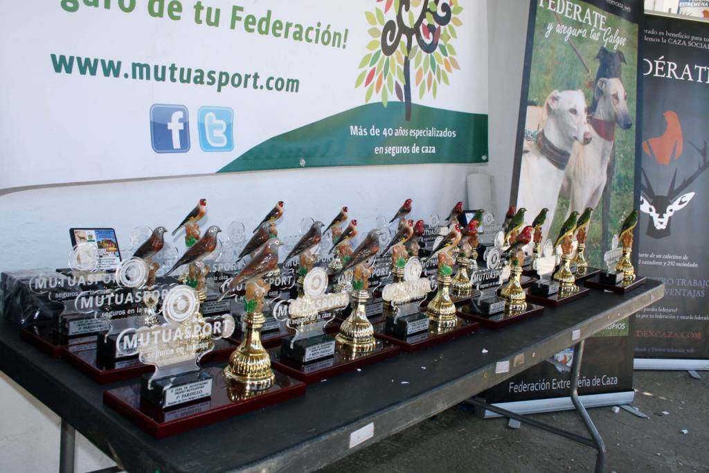 Copa Mutuasport Silvestrismo 2015-02