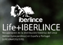 Logo Life+Iberlince