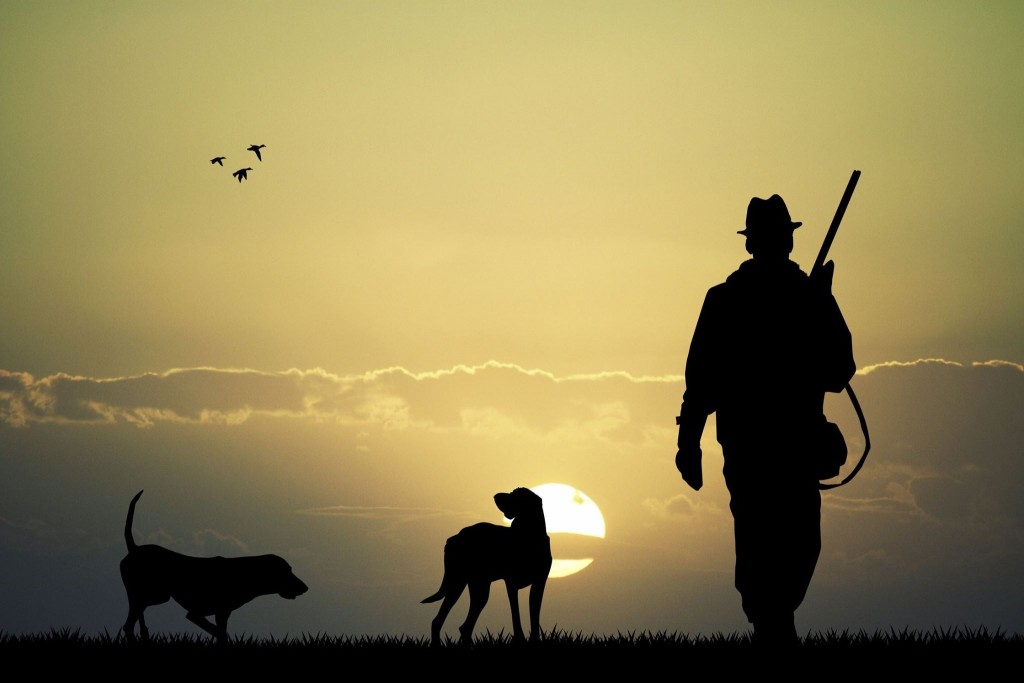 cazador con perros