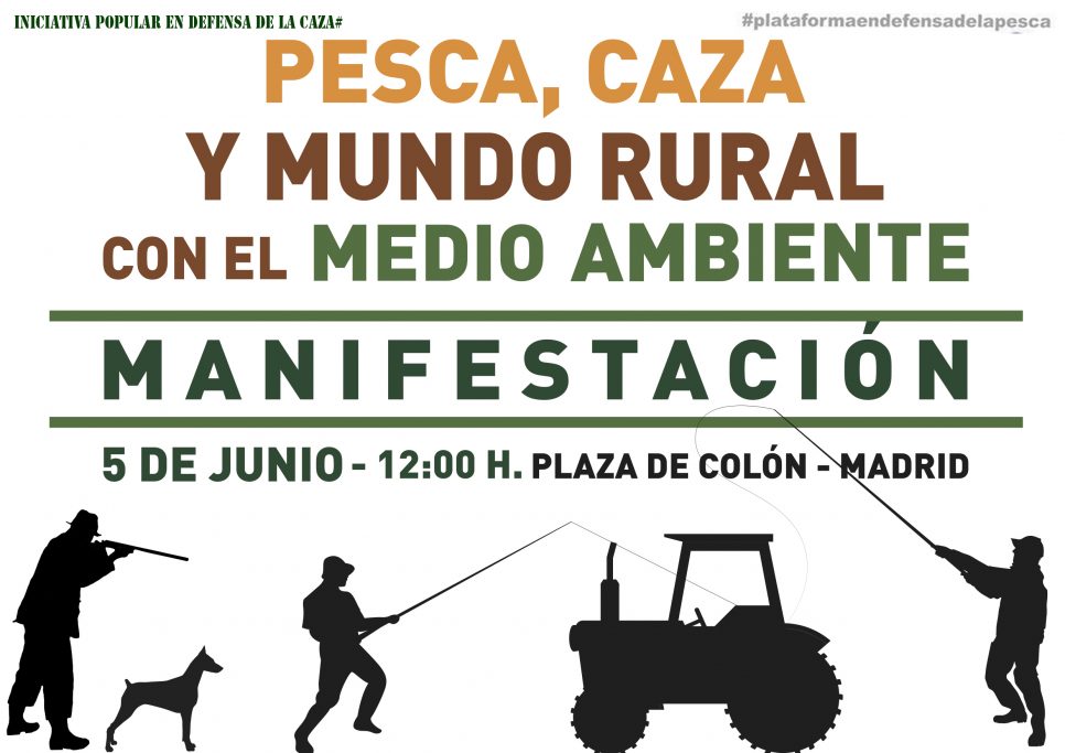 manifestacion madrid 5 junio