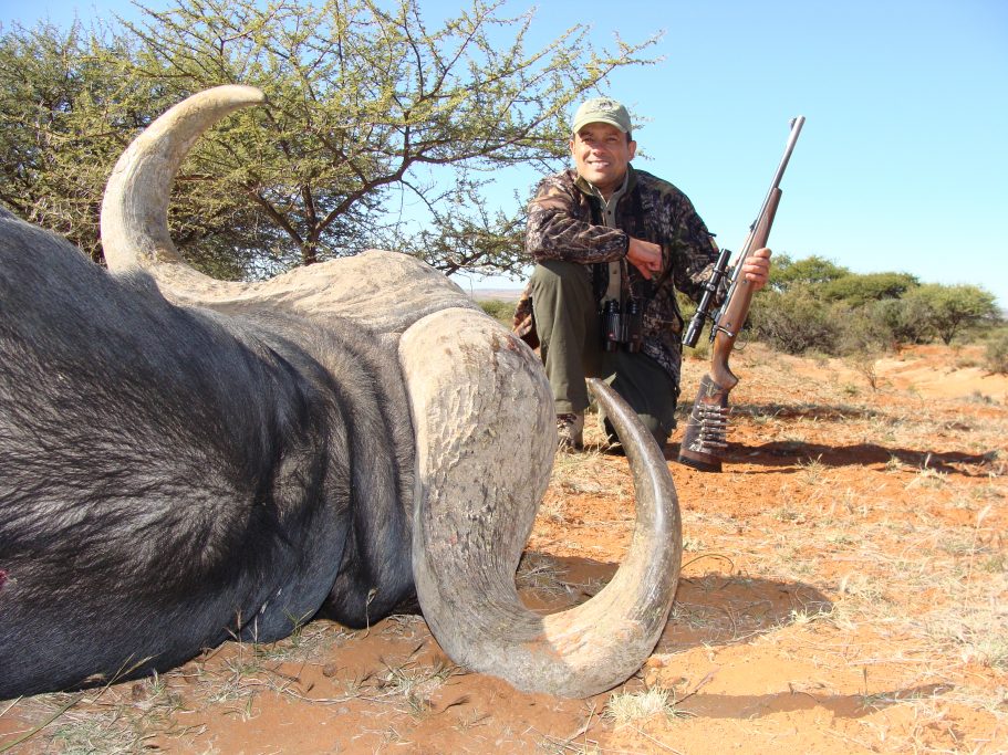 western cape áfrica búfalo