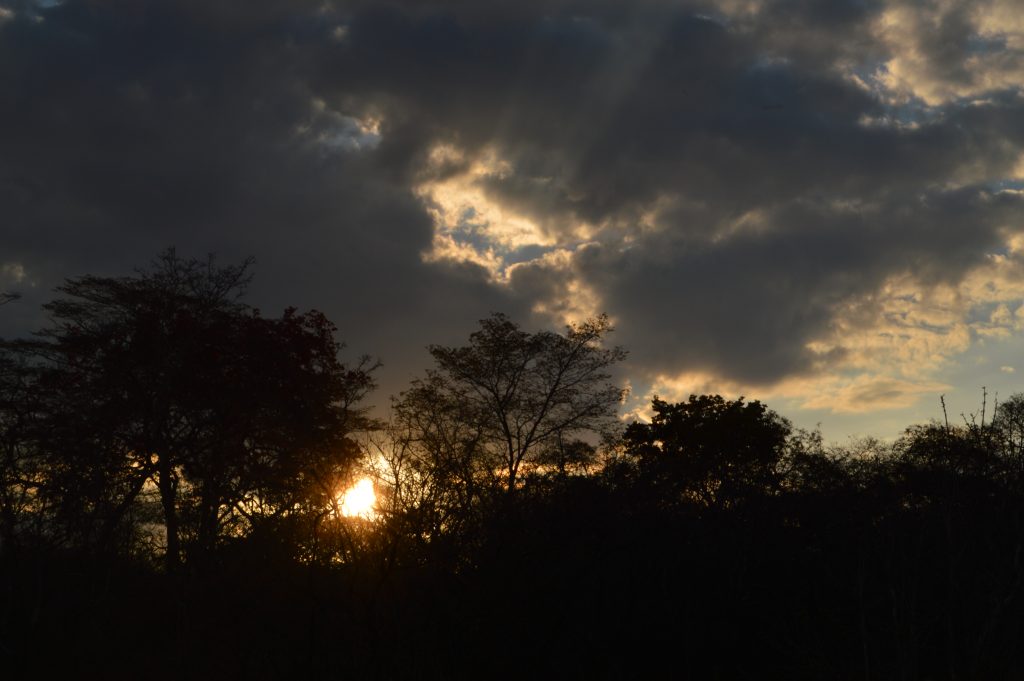 tanzania paisaje crepúsculo