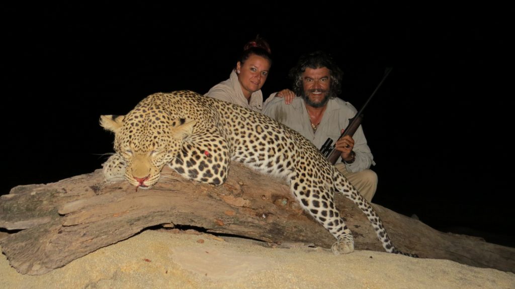tanzania leopardo