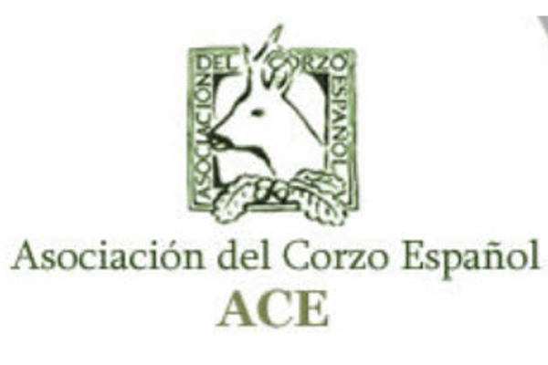 logo ACE corzo