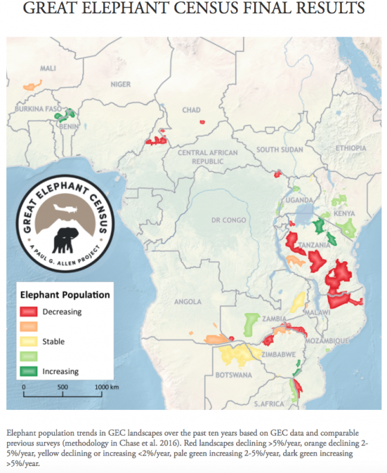 Censo del Gran Elefante