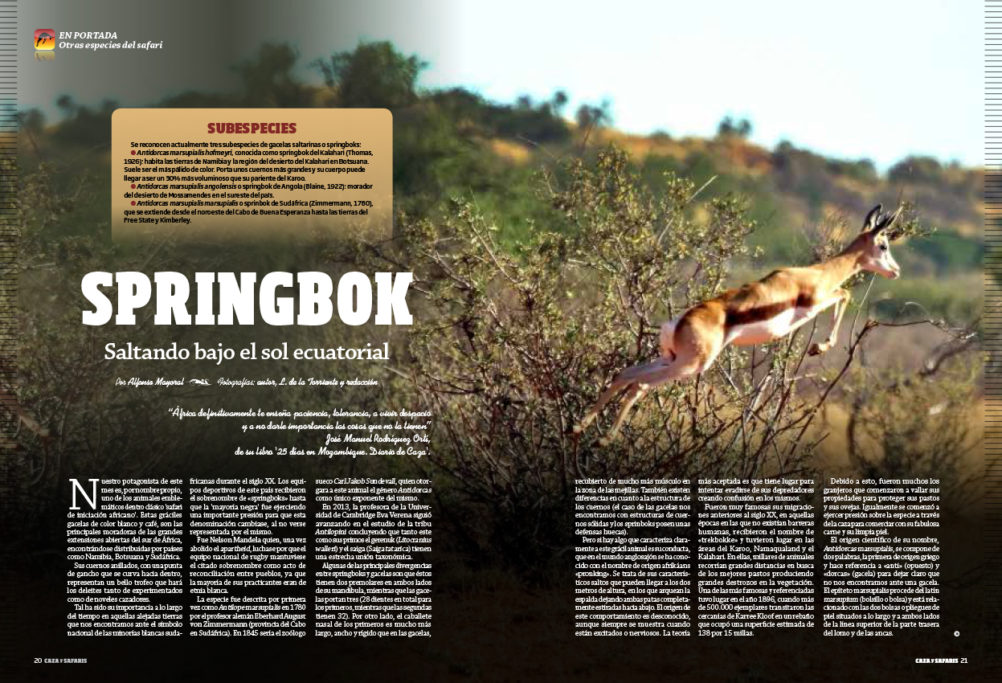 en-portada-springbok