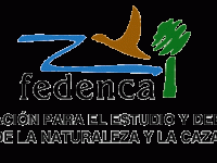 Logo-Fedenca-grande-transparente