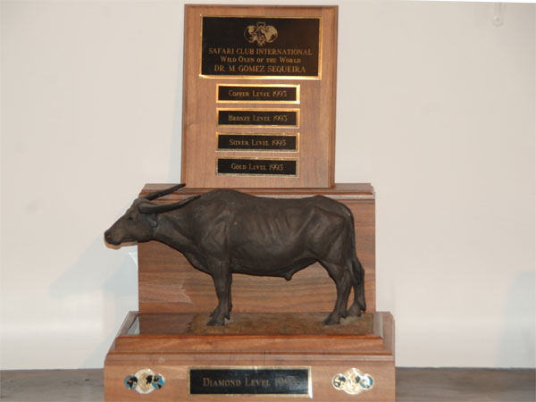 20120511-wild-oxen-world