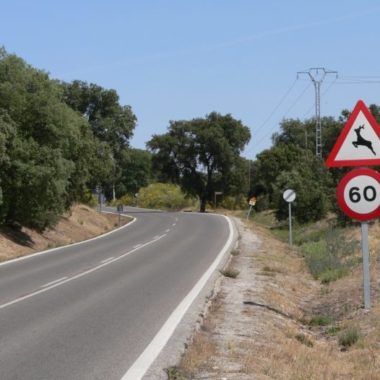 accidentes en Castilla y León