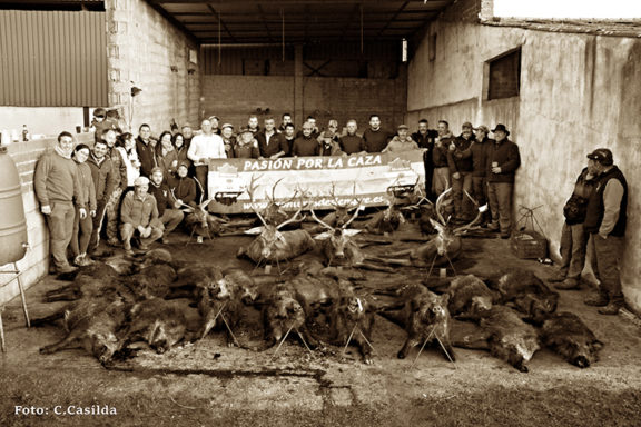 tensión montera