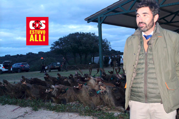 categoría con Cabezas