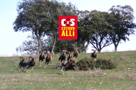 de Hunters Hispania