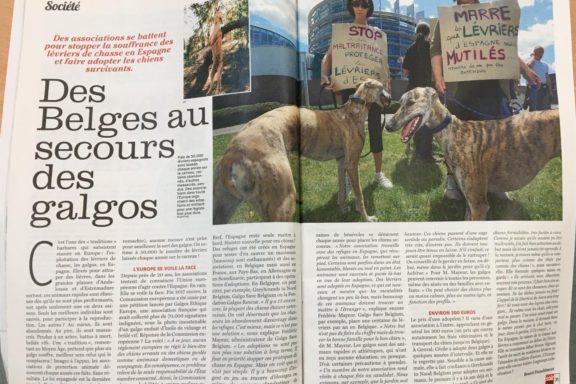 campaña anticaza