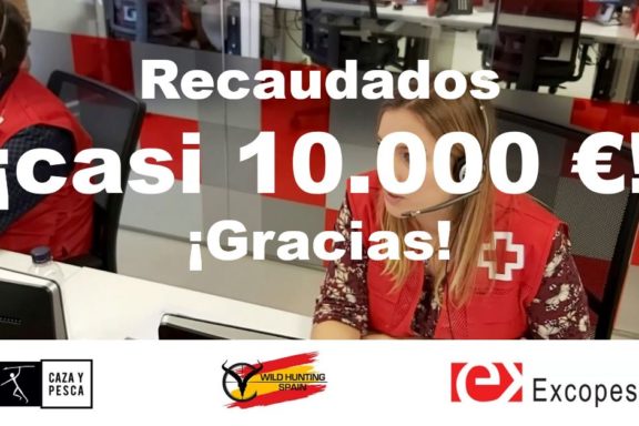 Subasta Solidaria