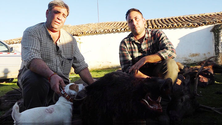 lances a jabalí