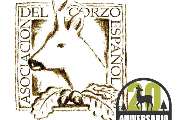 veinte años