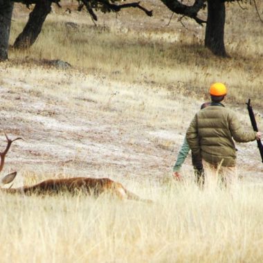 mayor encuesta caza y safaris wonke