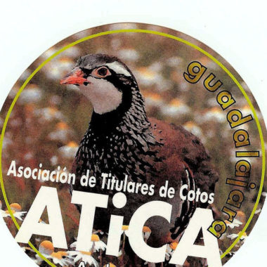 ATICA Guadalajara