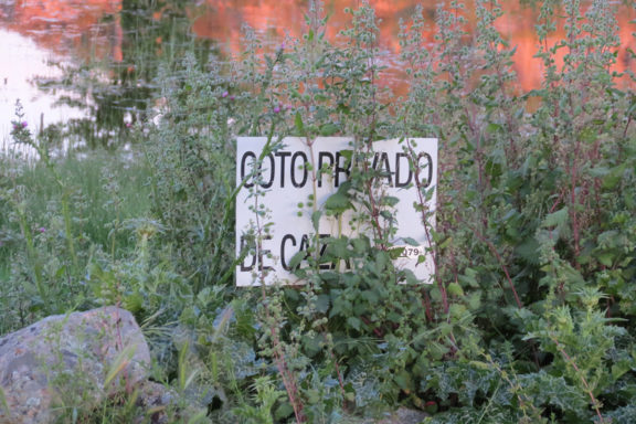 Comité REACH La Comisión Europea