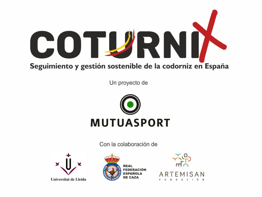 coturnix
