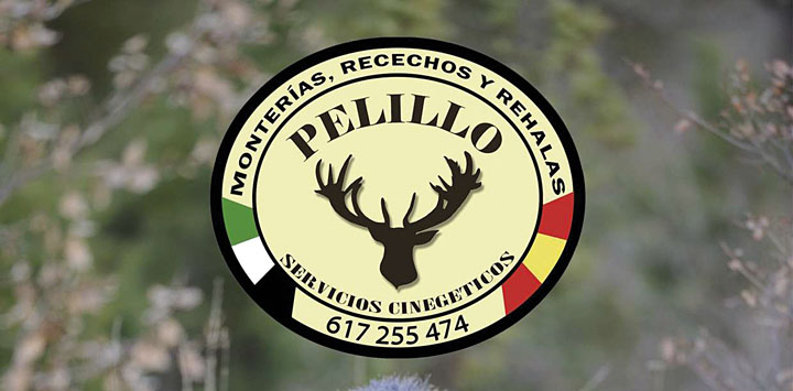 Pelillo SC