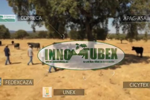 INNOTUBEX