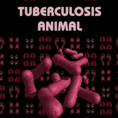 libro tuberculosis IREC
