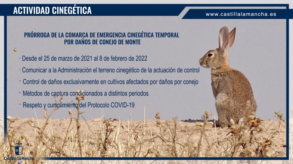 daños conejos en 295 municipios