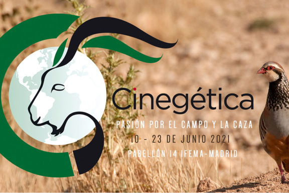 Seguridad en Cinegética