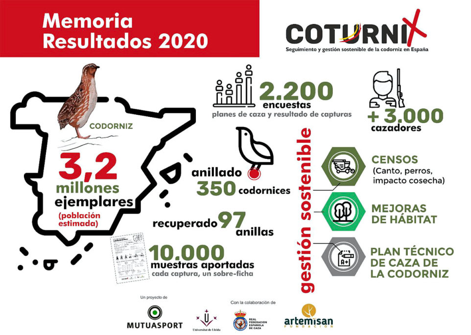 Proyecto Coturnix 