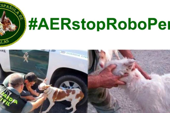 AER STOP robo de perros.