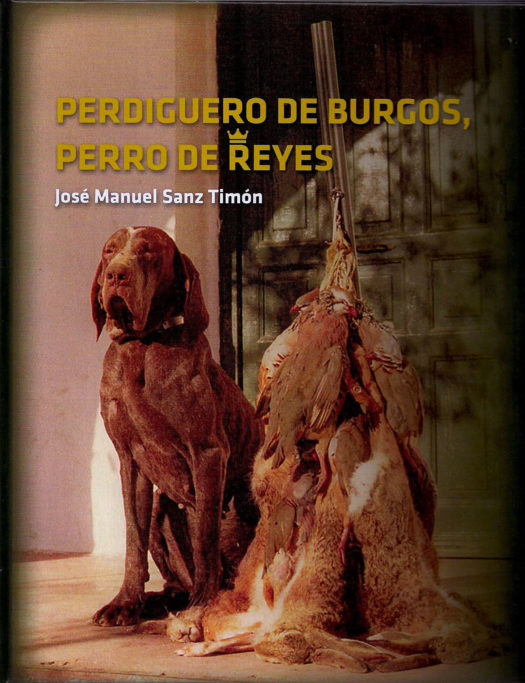 perro Perdiguero de Burgos