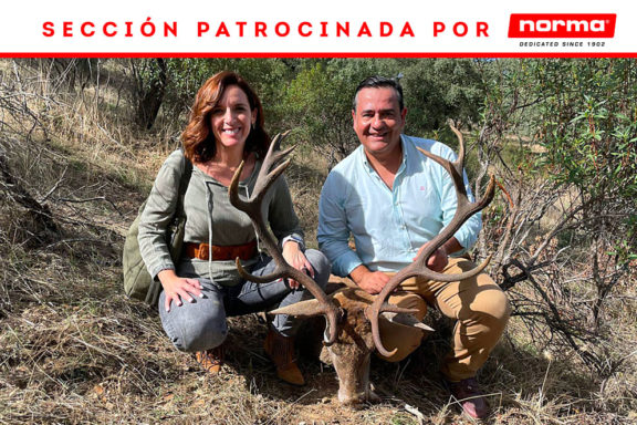Alcornoque venados