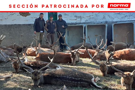 Riberos de La Montera