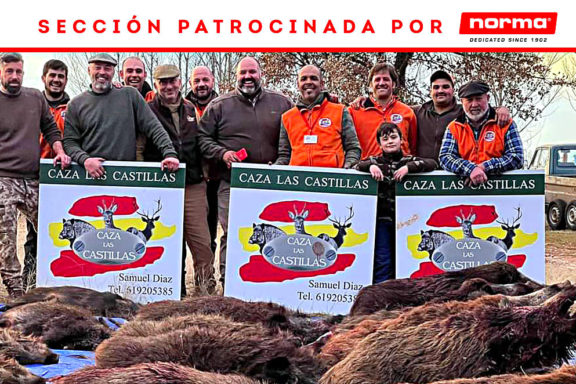 Caza Las Castillas cochinos.