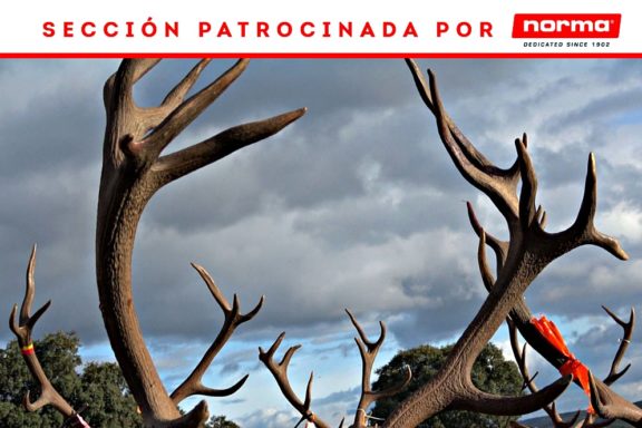 El Carnero RuizCaza