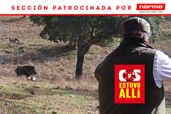 La Ribera Alta