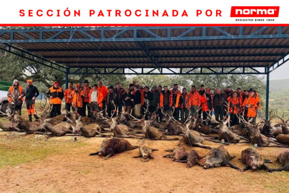 Lomas y lagunillas Caza y Safaris Wonke