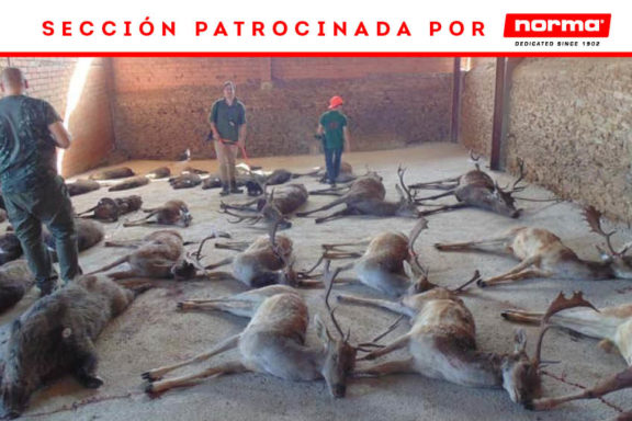 Mirador-Herguijuela-El-Rincon-Cinegetico-monterias-Caza-y-Safaris-Wonke