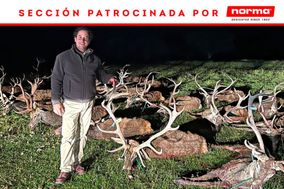 Y El Águila montería