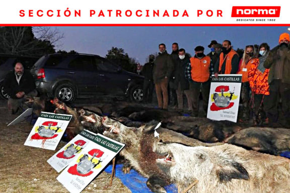 con Caza jabalíes