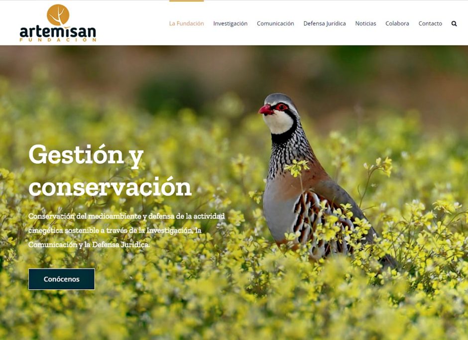 web Fundación Artemisan