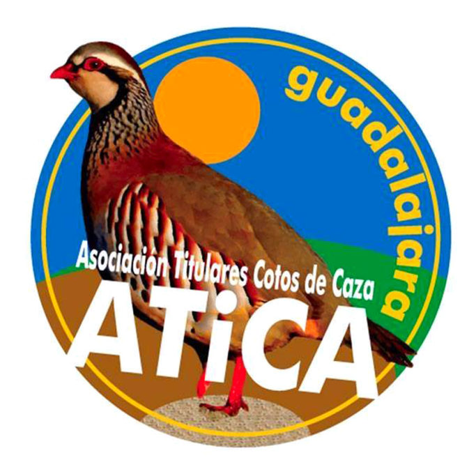 ATICA Guadalajara