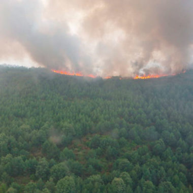 Incendio en la sierra de la Culebra 2022.